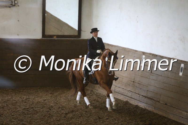 009M4036_Dacato_Dressur L.JPG